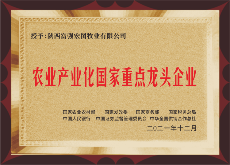 農(nóng)業(yè)產(chǎn)業(yè)化重點(diǎn)龍頭企業(yè)